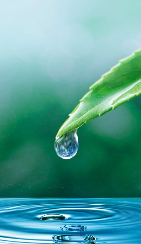 国产福利一区二区三区在线视频